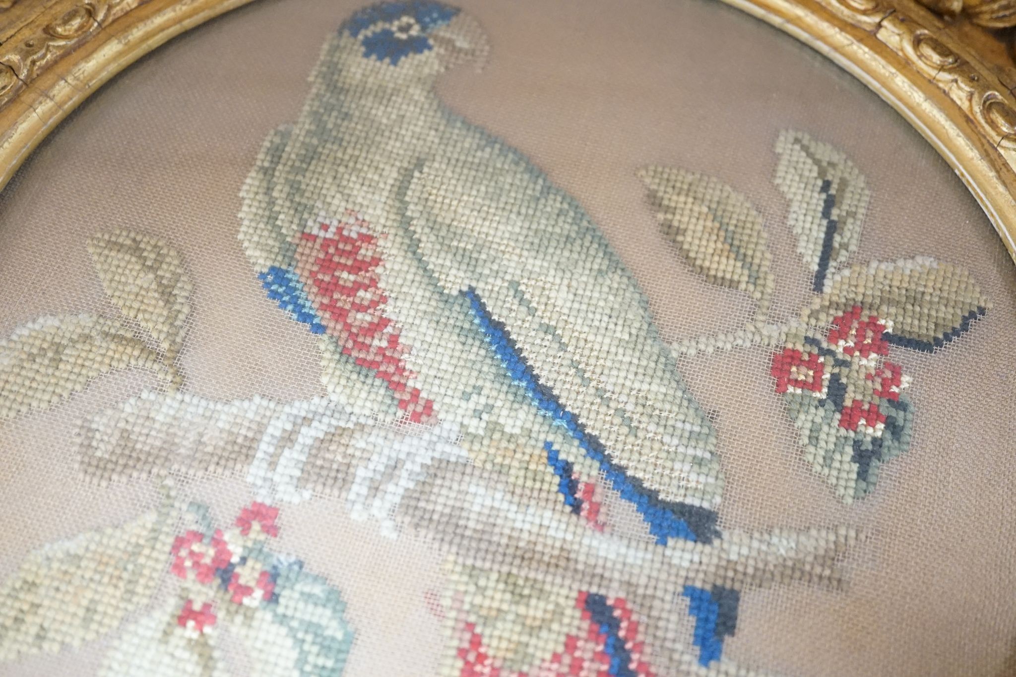 A pair of 19th century giltwood framed circular needleworks of parrots, 26cm diameter excl frame